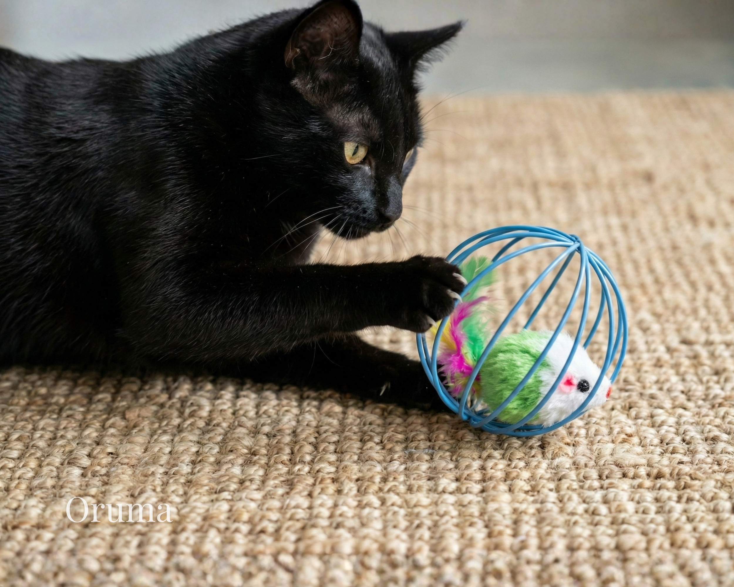 ORUMA | Pelota Jaula (Instinto Gato)