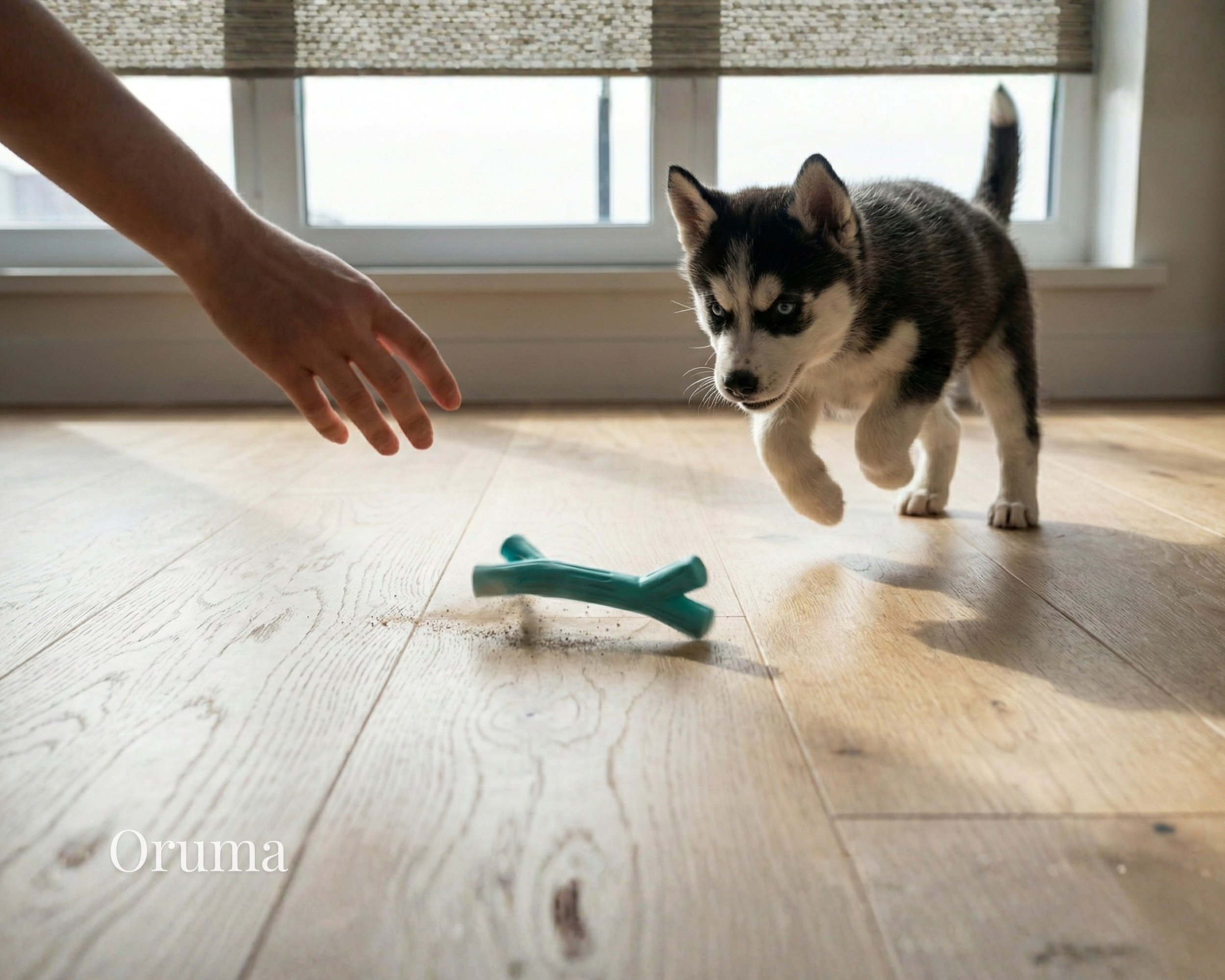 ORUMA | Juguete Perro (Rama) | Masticación