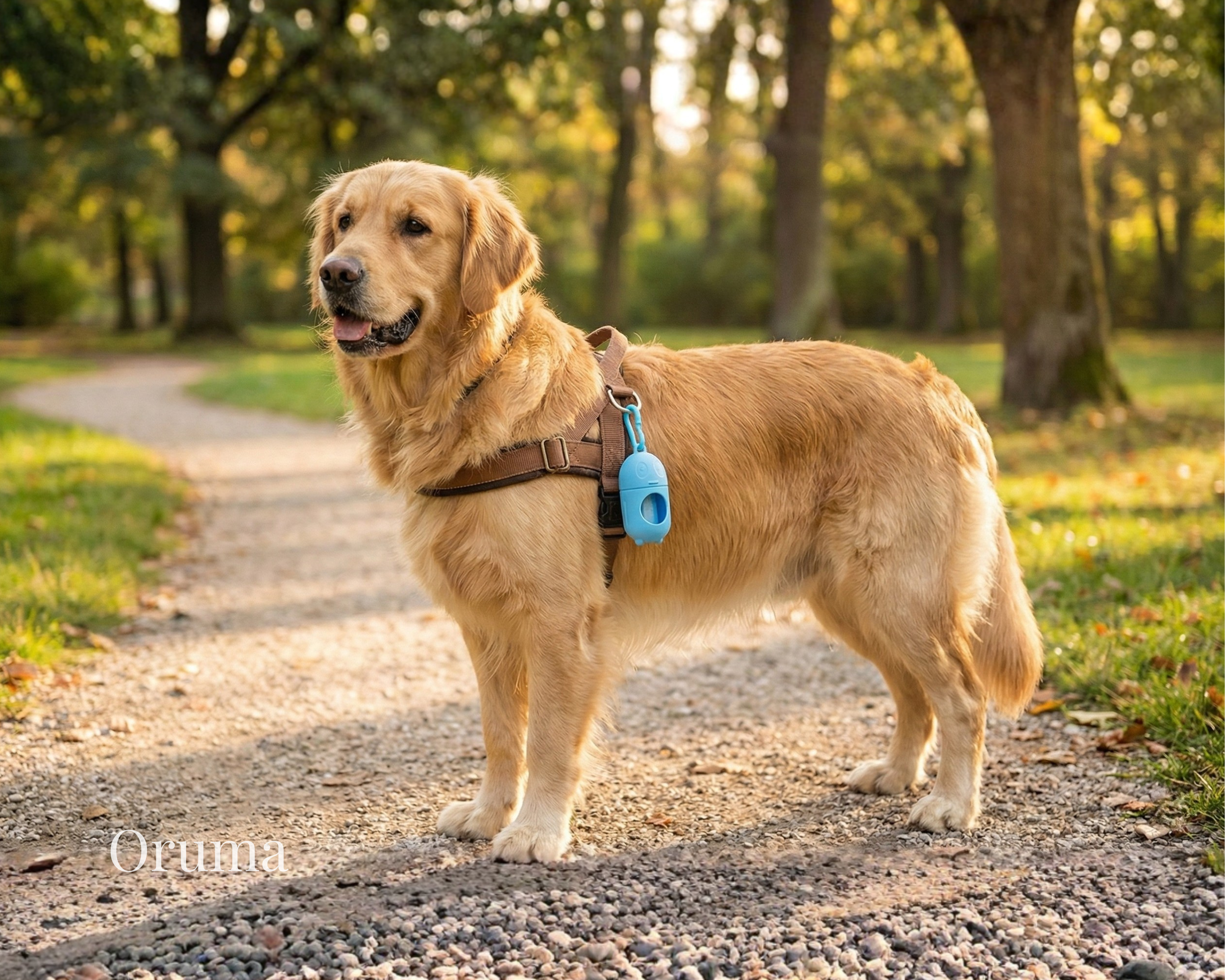 ORUMA | Dispensador Bolsas (Paseo Perro)