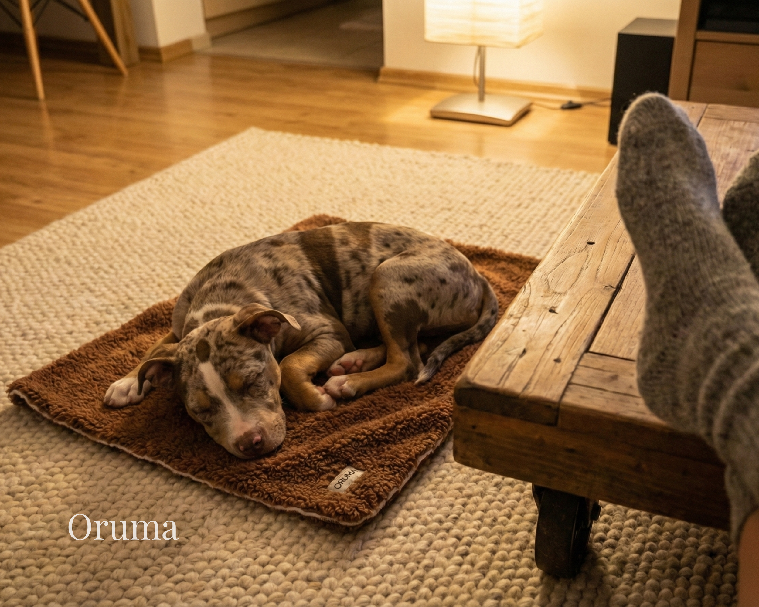 ORUMA | Manta de Apego perro