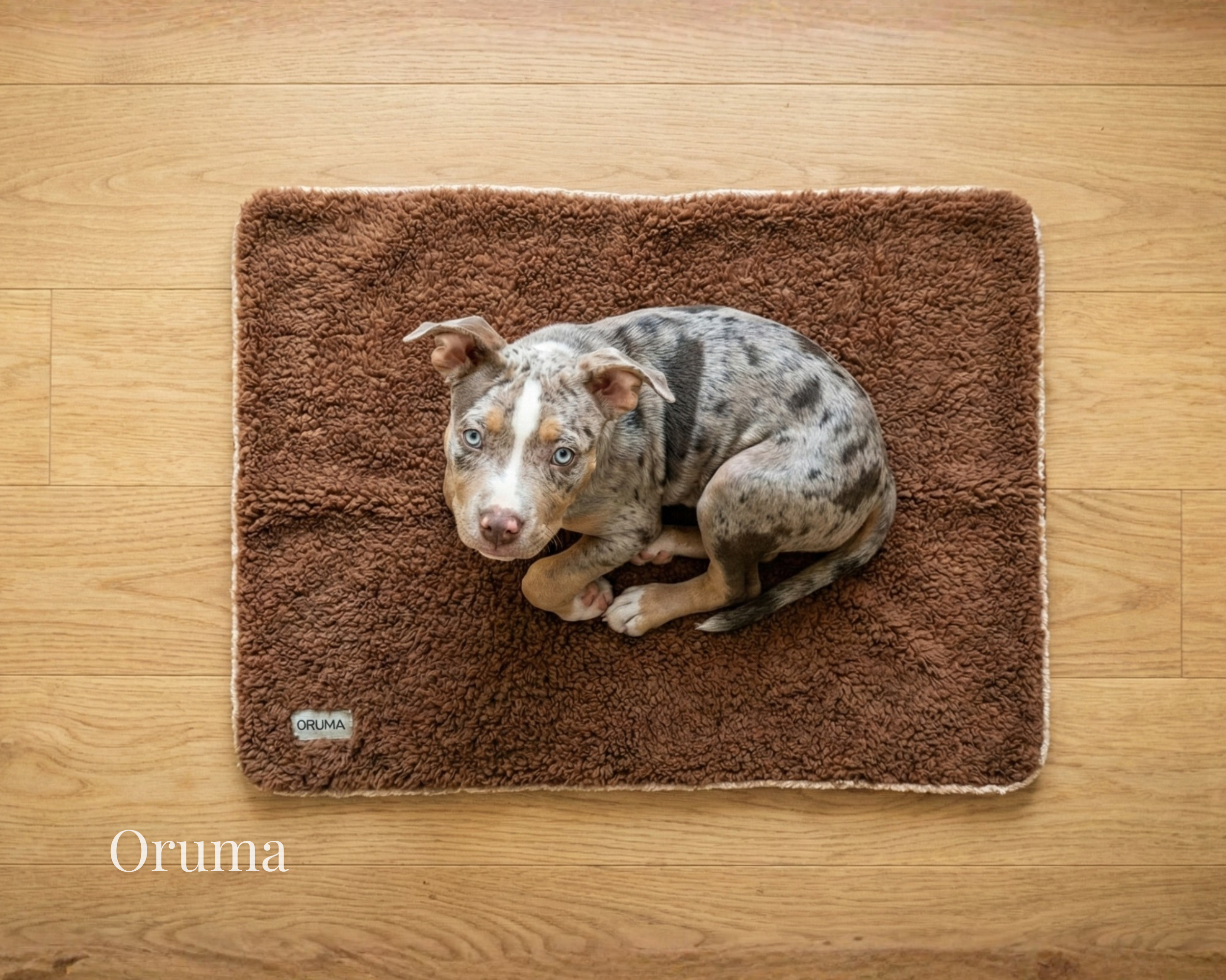 ORUMA | Manta de Apego perro