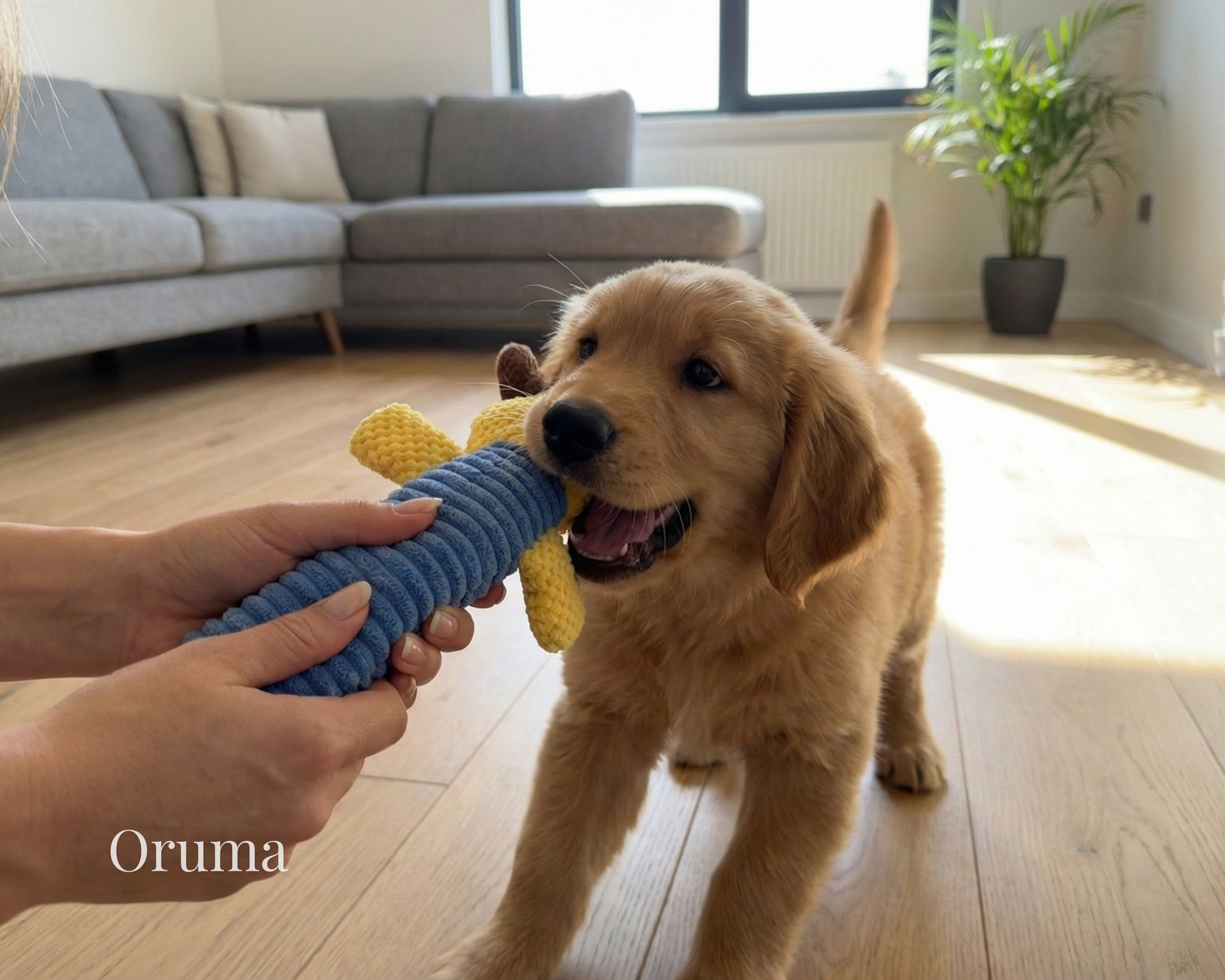 ORUMA | Peluche Perro (Animales) | Juego Suave