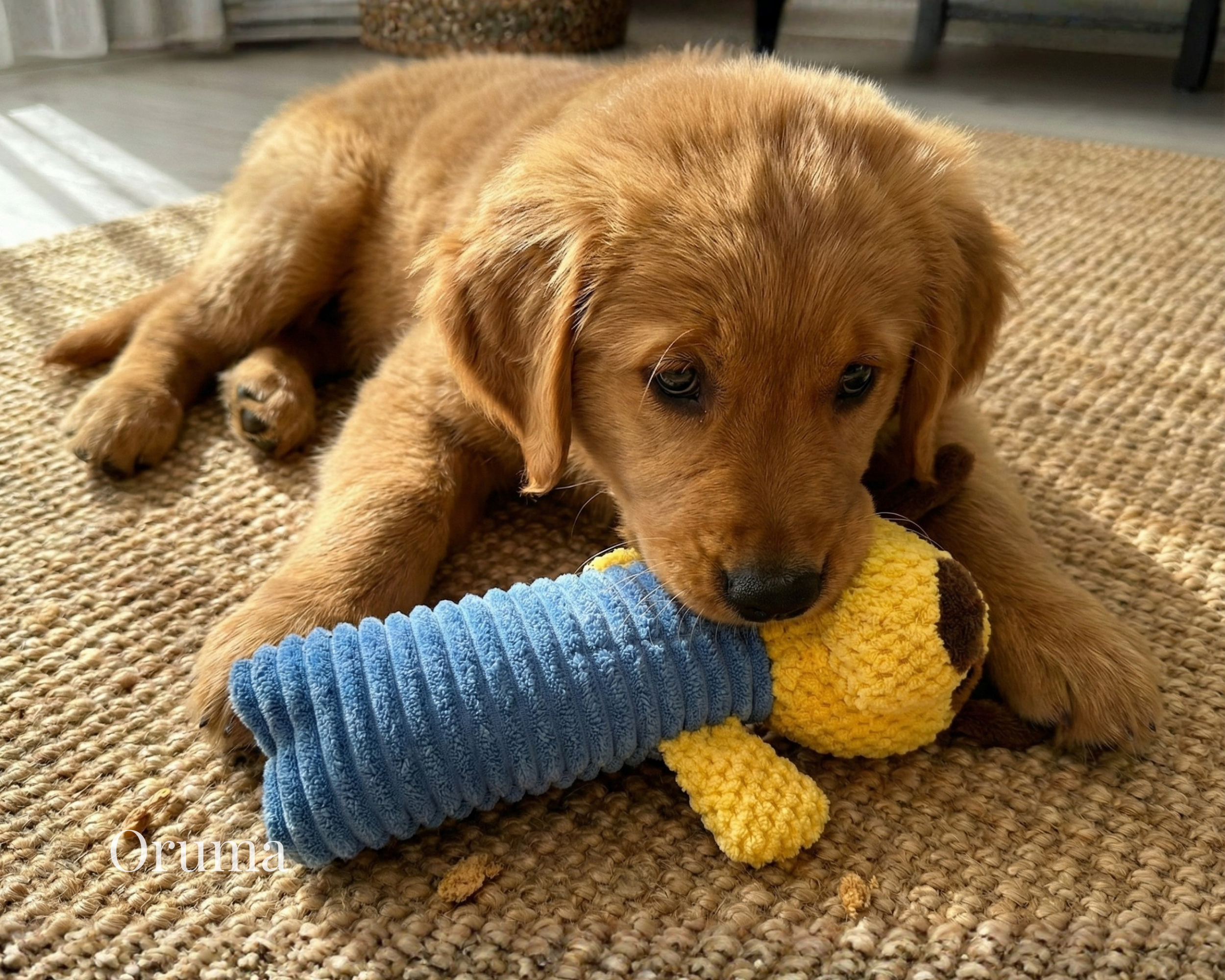 ORUMA | Peluche Perro (Animales) | Juego Suave