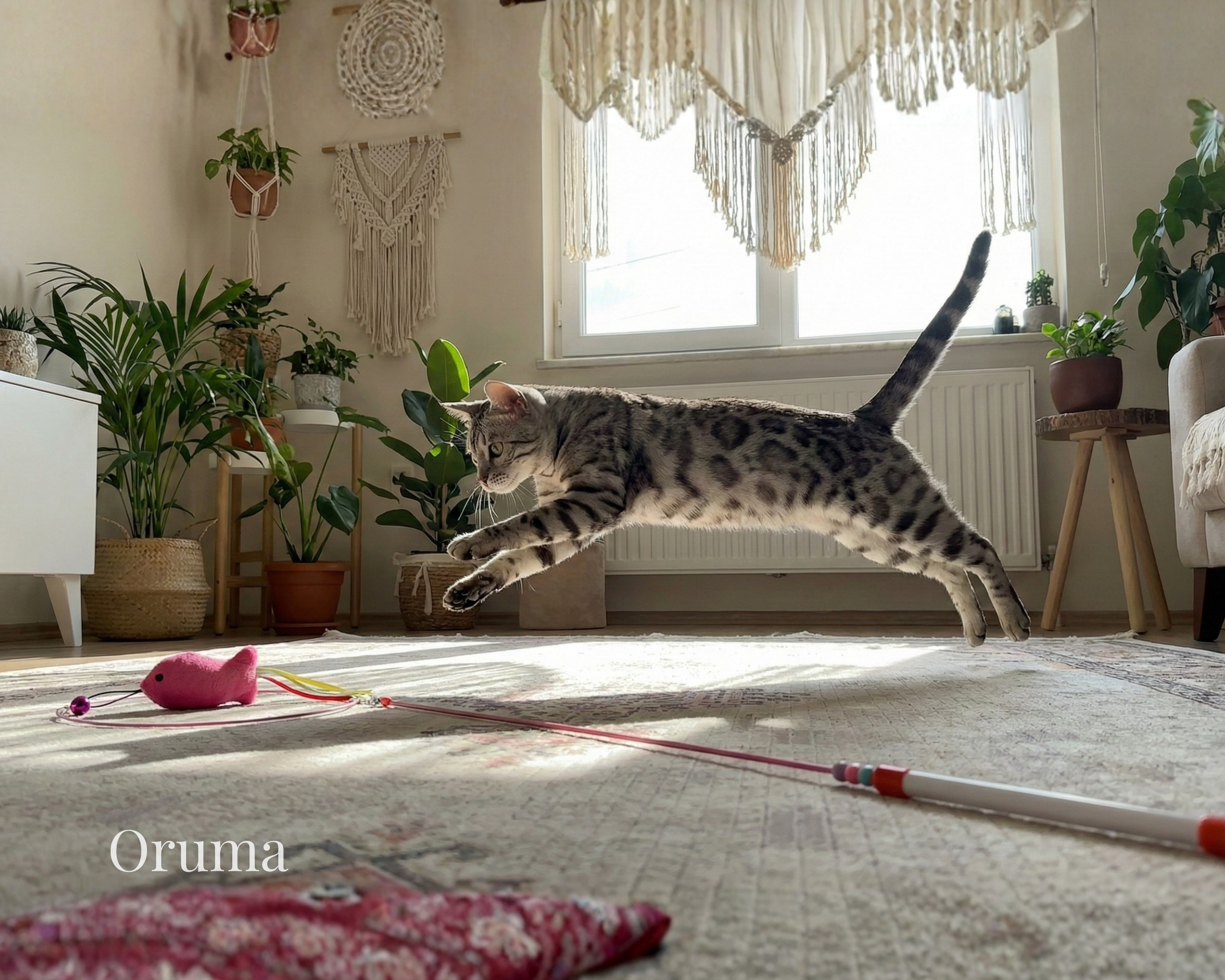 ORUMA | Varita Gato (Cacería)