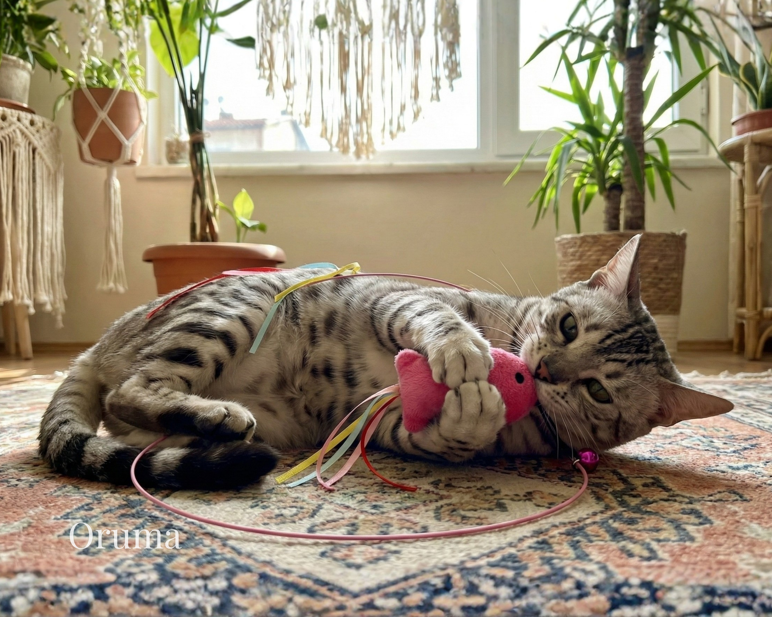 ORUMA | Varita Gato (Cacería)