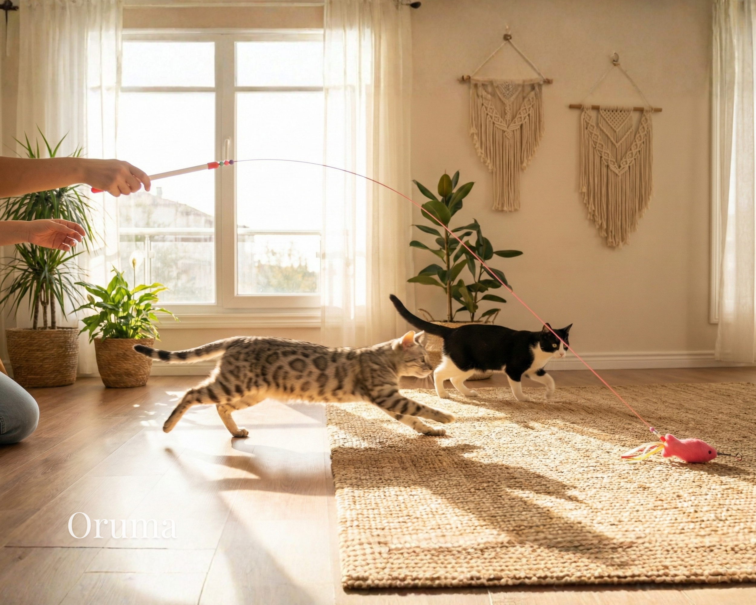 ORUMA | Varita Gato (Cacería)