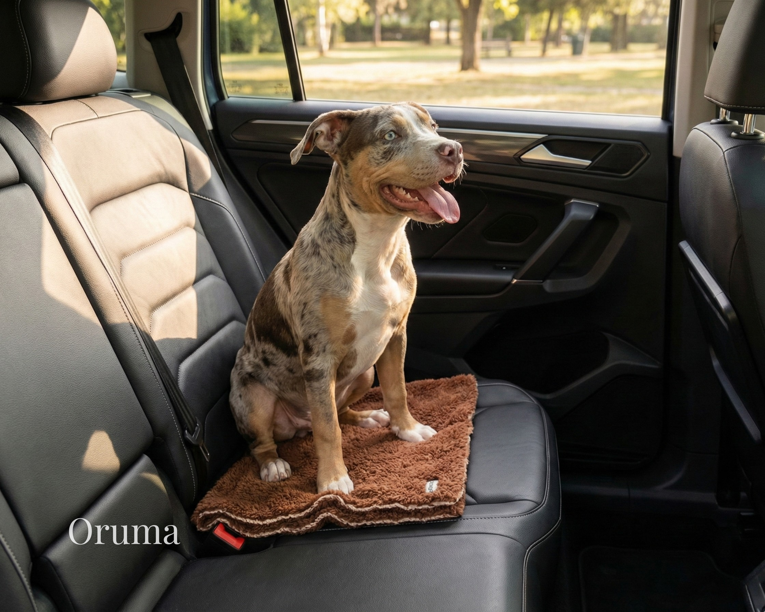 ORUMA | Manta de Apego perro