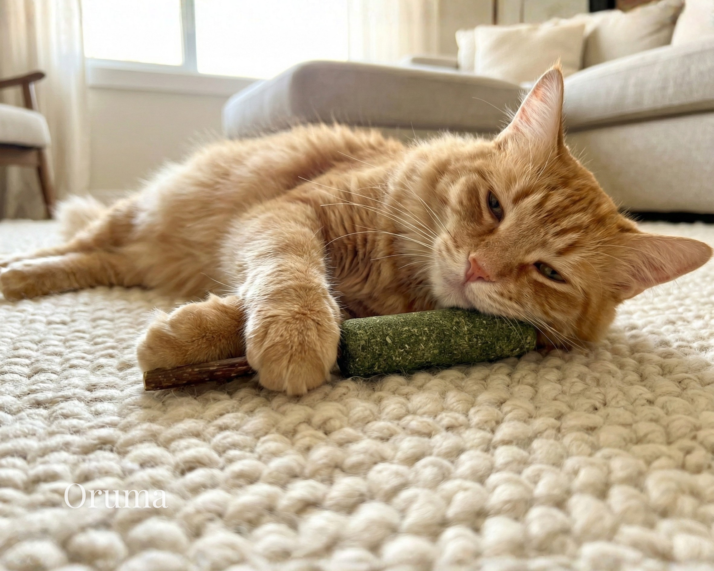 ORUMA | Palito Catnip Gato (Estimulante)