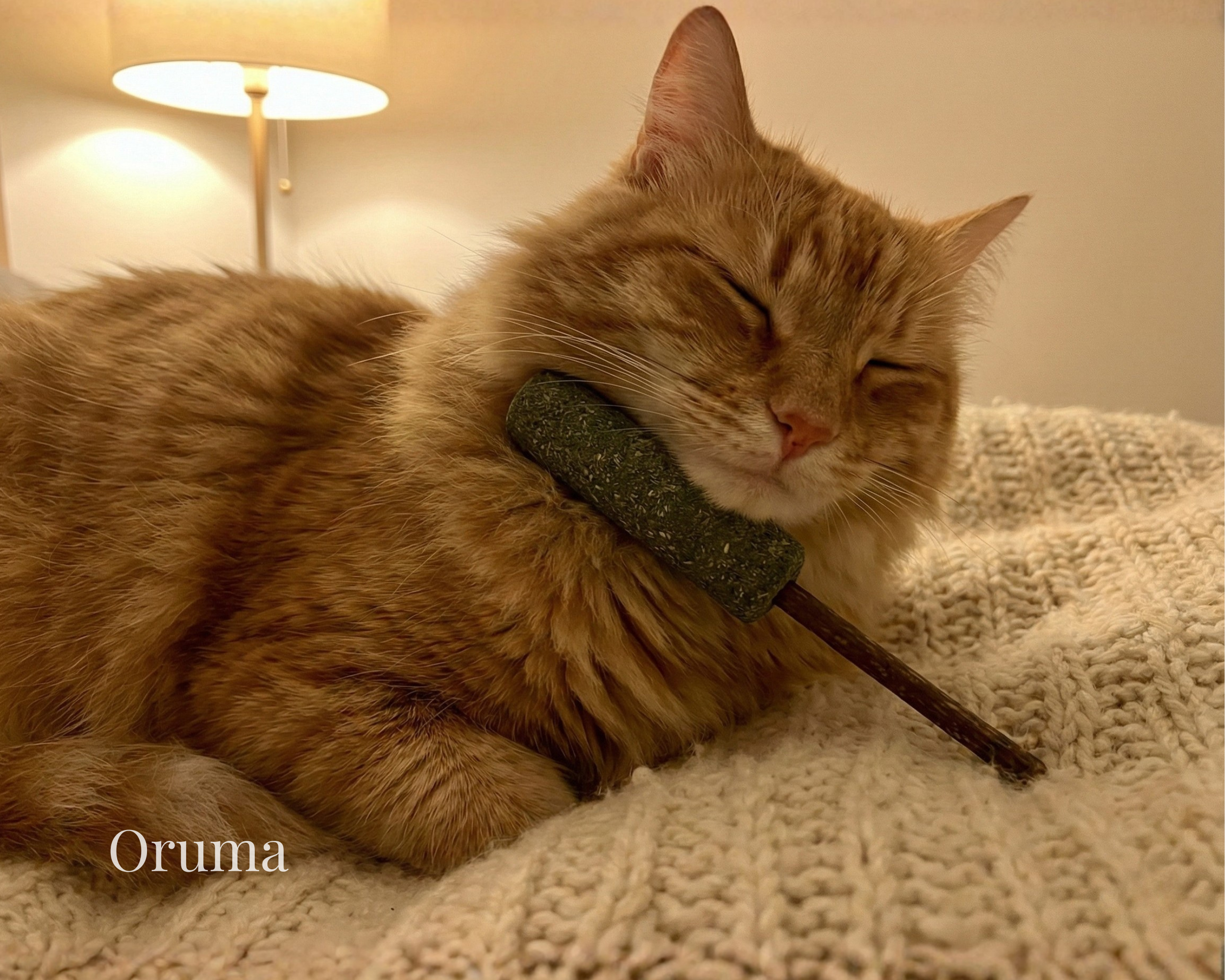 ORUMA | Palito Catnip Gato (Estimulante)