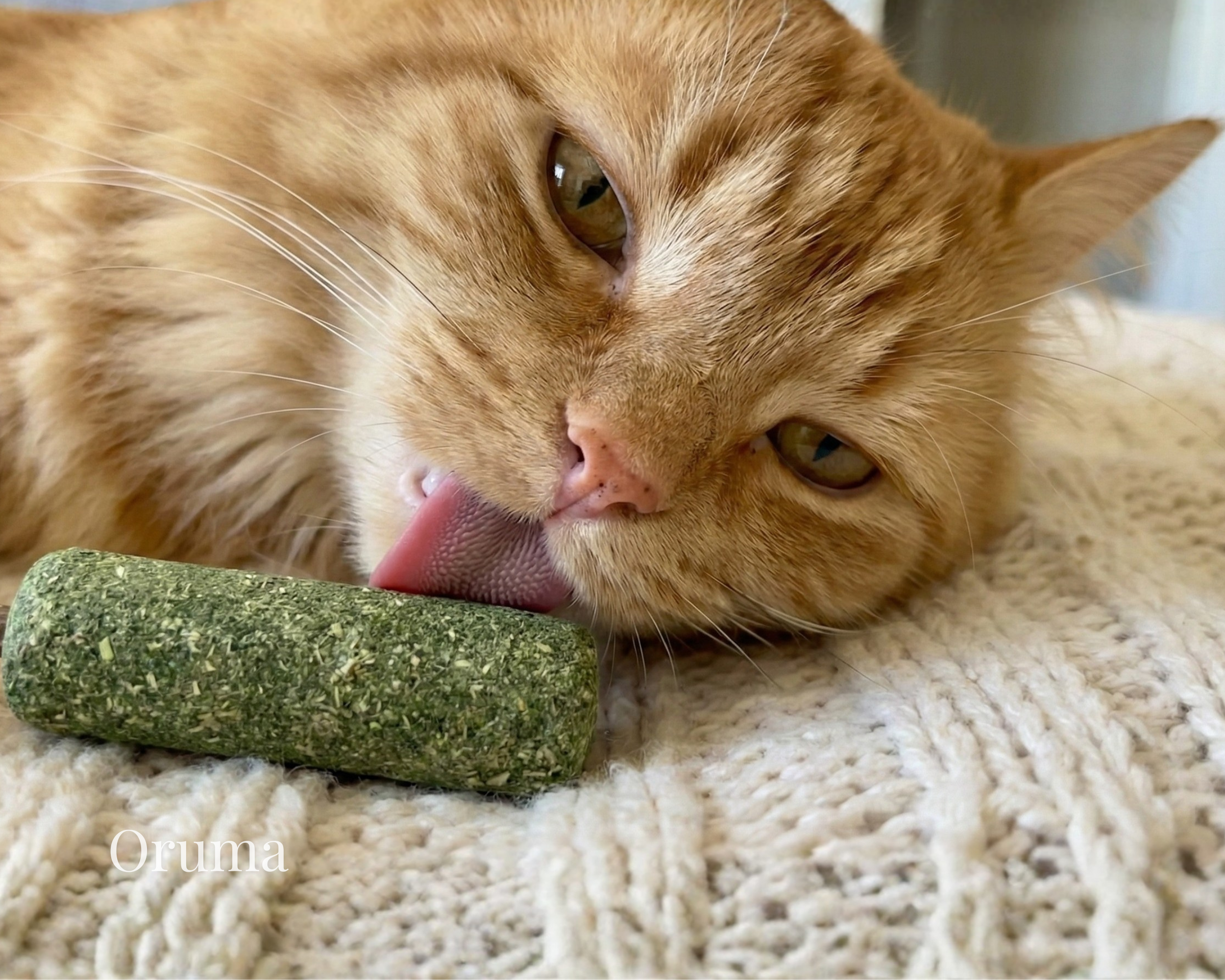 ORUMA | Palito Catnip Gato (Estimulante)